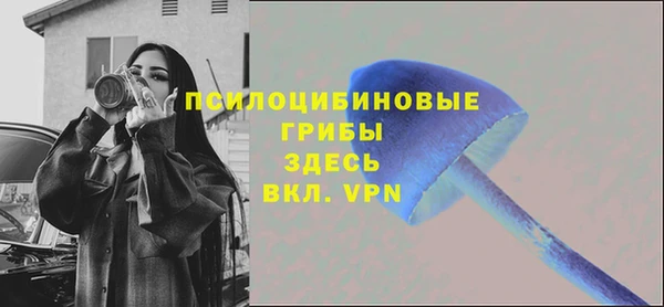 a pvp Алексин