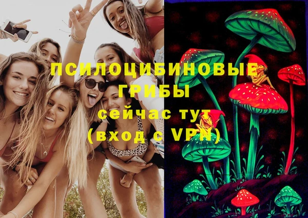 спиды Алексеевка