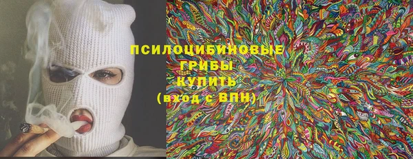 дмт Алзамай