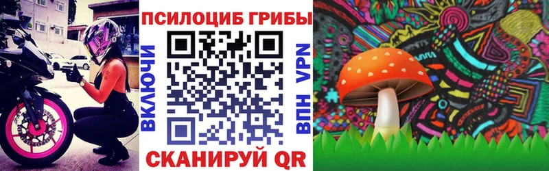 Псилоцибиновые грибы Psilocybine cubensis  Игарка 